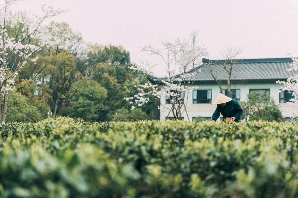 Zhejiang Xizi Hotel Hangzhou Bagian luar foto