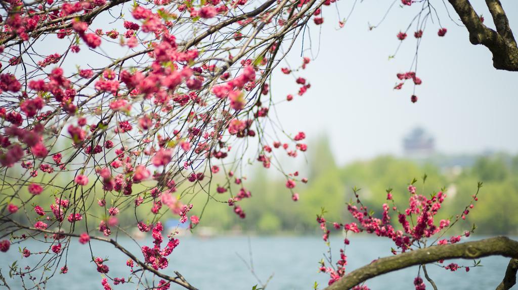 Zhejiang Xizi Hotel Hangzhou Bagian luar foto